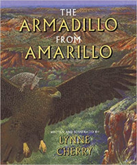 Image of The armadillo from Amarillo