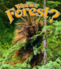 Image of What is a forest?