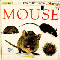 Image of Mouse
