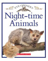 Image of Night-time animals