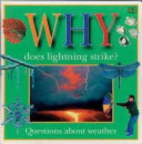 Image of Why does lightning strike? : questions children ask about the weather