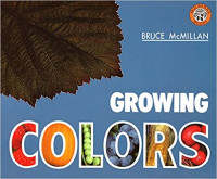 Image of Growing colors