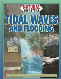 Image of Natural disasters : tidal waves and flooding