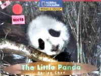 Image of The little panda