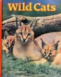 Image of Wild cats