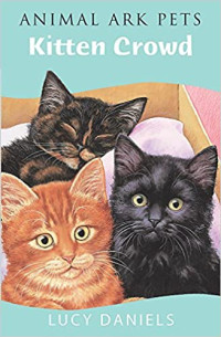 Image of Kitten crowd