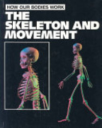 Image of The skeleton and movement