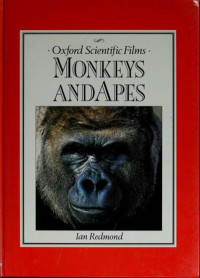 Image of Monkeys and apes