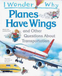Image of I wonder why planes have wings and other questions about transport