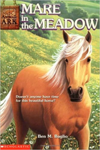 Image of Mare in the meadow