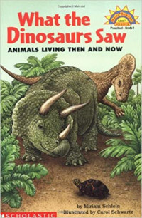 Image of What the dinosaurs saw