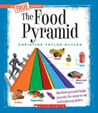 Image of The food pyramid