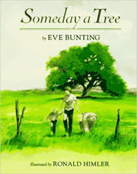 Image of Someday a tree