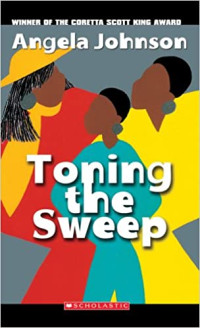 Image of Toning the sweep