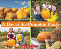 Image of A day at the pumpkin patch