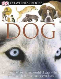 Image of Dog