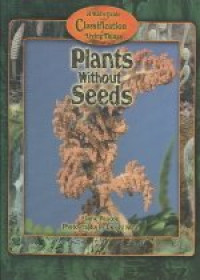 Image of Plants without seeds