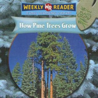 Image of How pine trees grow