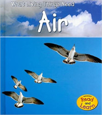 Image of Air