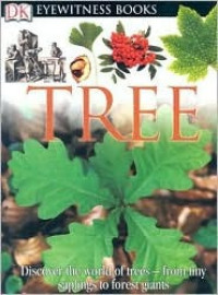 Image of Tree