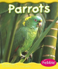 Image of Parrots