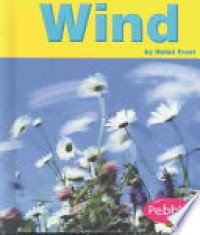 Image of Wind