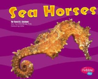 Image of Sea horses