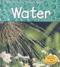 Image of Water