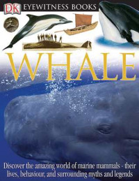 Image of Whale