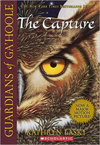 Image of Guardians of Ga'Hoole : the capture