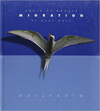 Image of Migration