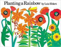 Image of Planting a rainbow