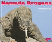 Image of Komodo dragons