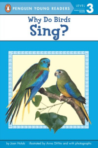 Image of Why do birds sing?