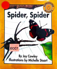 Image of Spider, spider