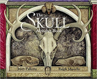 Image of The skull alphabet book