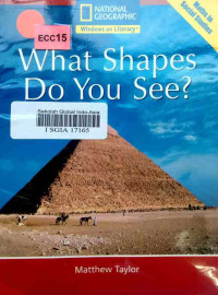 Image of What shapes do you see?