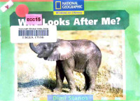 Image of Who looks after me?