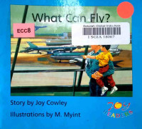 Image of What can fly?