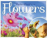 Image of Flowers
