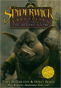 Image of The seeing stone : the spiderwick chronicles, bk. 2
