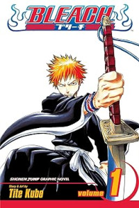 Image of Bleach, Vol. 1