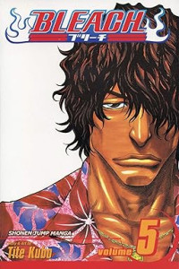 Image of Bleach, Vol. 5