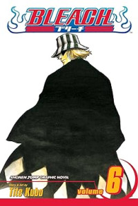 Image of Bleach, Vol. 6