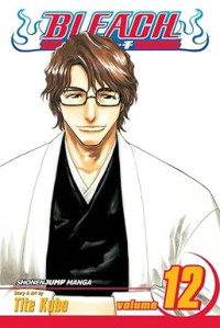 Image of Bleach, Vol. 12: Flower on the Precipice