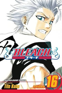Image of Bleach, Vol. 16: Knight of Wijnruit