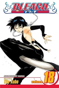 Image of Bleach, Vol. 18