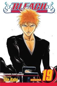 Image of Bleach, Vol. 19