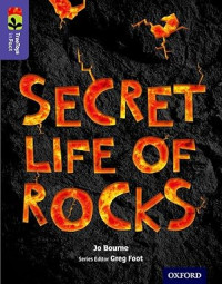 Image of Oxford Reading Tree TreeTops inFact: Level 11: Secret Life of Rocks