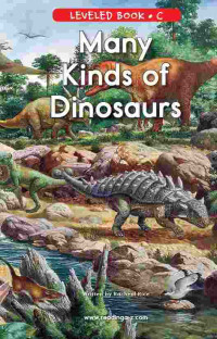 Image of Leveled book c : many kinds of dinosaurs